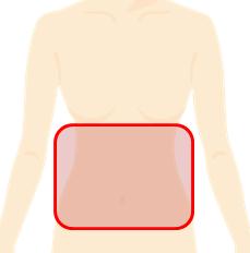 お腹の脱毛料金